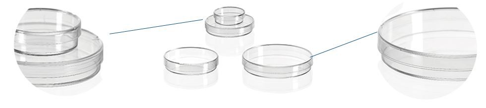Glass Petri Dish With Cover